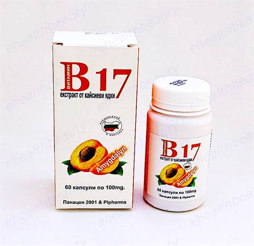 ������� B17 ���������