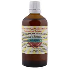 �������� �� 12 ��������� �����